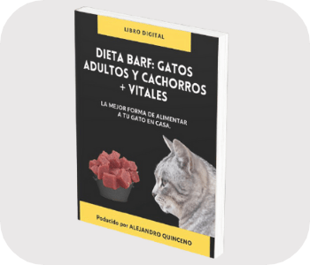 libro dieta Barf para Gatos