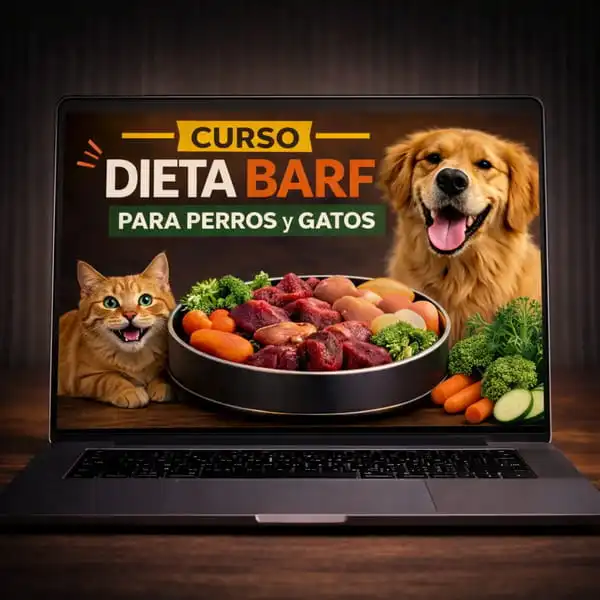 Curso de Dieta Barf para Perros y gatos