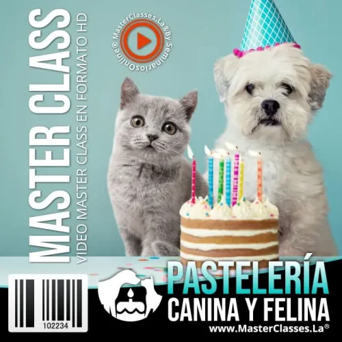 Curso de Pasteleria Canina y Felina